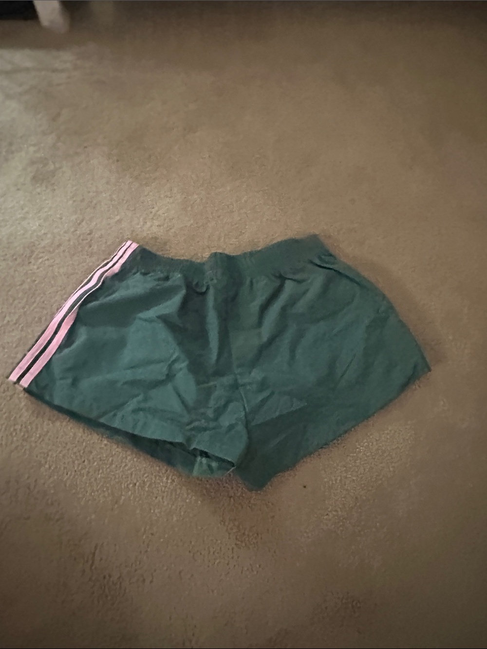 SHEIN Green Athletic Shorts with Pink Side Stripes - Picture 2 of 3
